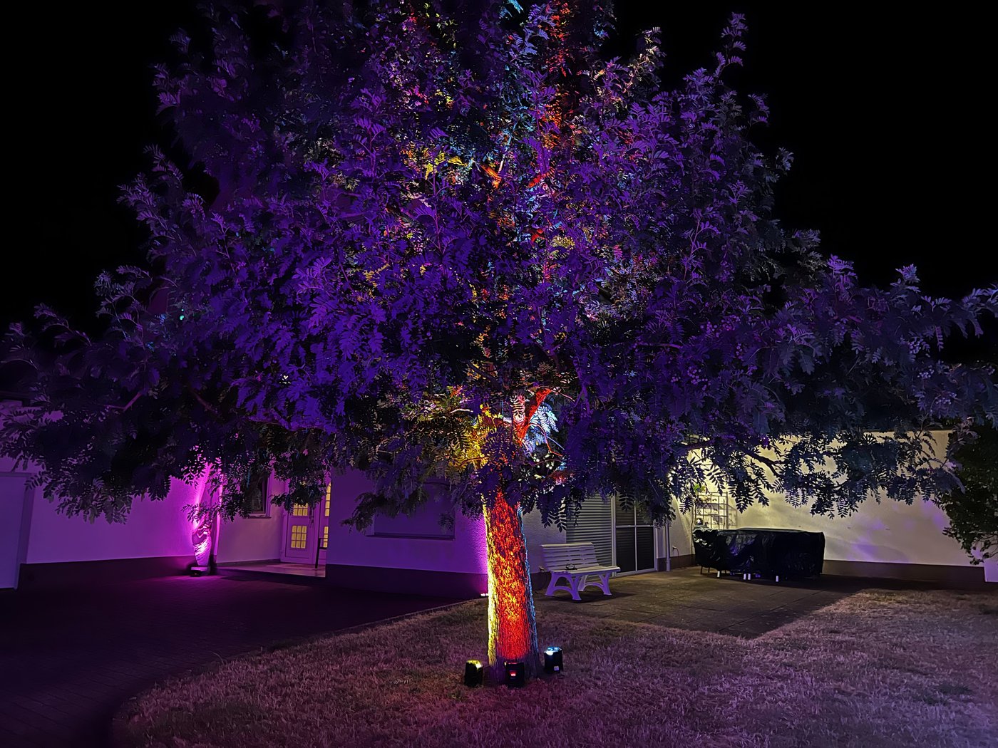 Event Impression